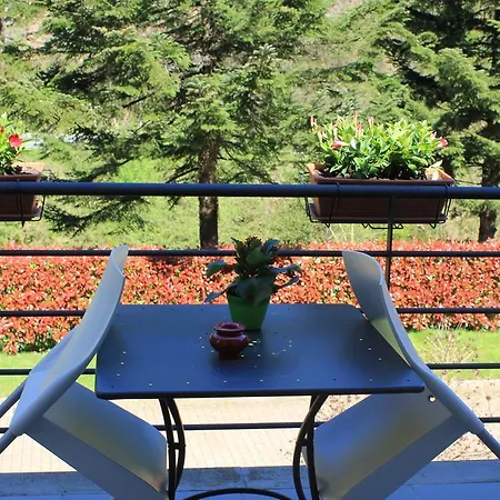 호텔 아베타이아 레반토