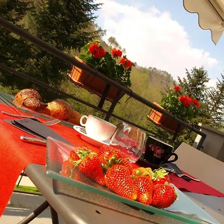 Hotel Abetaia Levanto